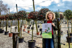 Torrelavega abre el plazo para participar en la campa&ntilde;a del &aacute;rbol