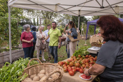 Torrelavega inaugura el III Festival del Tomate en el Parque Manuel Barqu&iacute;n