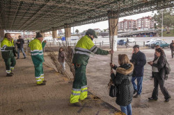 Torrelavega organiza una nueva Campa&ntilde;a del &Aacute;rbol, que repartir&aacute; ejemplares en febrero