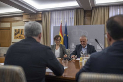 Torres dice que la cuarentena ser&aacute; "obligatoria" para aquellos pasajeros espa&ntilde;oles cuyo caso lo determine