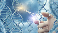 Trasplante cardiaco porcino ¿Un tiro en la oscuridad?.   Por Dr.José Manuel Revuelta Soba