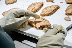 Un an&aacute;lisis de sangre permite estimar el riesgo de Alzheimer en personas sanas hasta una d&eacute;cada antes, seg&uacute;n un estudio