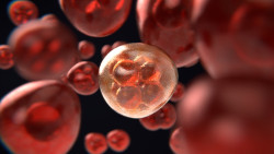 Un an&aacute;lisis de sangre puede detectar el c&aacute;ncer cuatro a&ntilde;os antes de los m&eacute;todos de diagn&oacute;stico convencionales