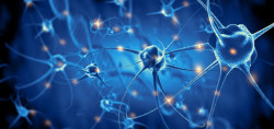 Un estudio internacional descubre tres posibles nuevos objetivos para tratar la epilepsia