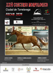 Un total de 125 caballos de 64 ganader&iacute;as estar&aacute;n presentes en el Concurso Morfol&oacute;gico Ciudad de Torrelavega FECAB