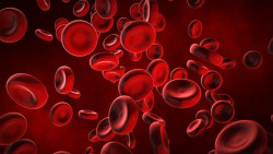 Una investigaci&oacute;n identifica nuevas formas de intentar prevenir los co&aacute;gulos sangu&iacute;neos letales