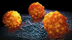 Una vacuna basada en c&eacute;lulas madre ofrece un nuevo enfoque que podr&iacute;a proteger contra el c&aacute;ncer de p&aacute;ncreas