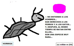 "Unamuno, siempre Unamuno y Andr&eacute;s Henestrosa".     &copy; jmm caminero&nbsp;