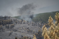 Unas 9.000 hect&aacute;reas quemadas, 16 pueblos evacuados y 700 afectados en el incendio de La Mierla (Guadalajara)