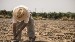 Uni&oacute;n de Uniones advierte de la p&eacute;rdida de 11.000 empresas en el sector agrario en cuatro a&ntilde;os