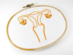 Usan tejido artificial para investigar contracciones uterinas que pueden provocar problemas de fertilidad
