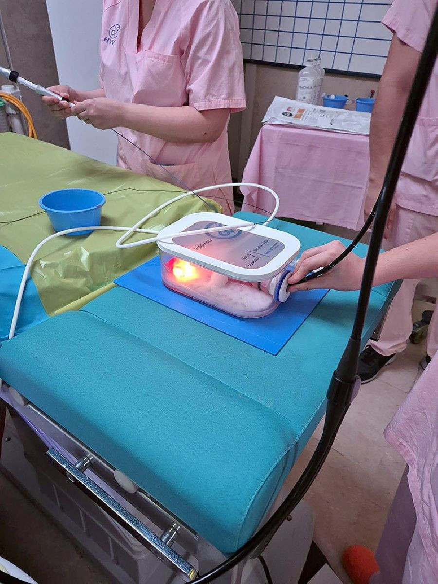 Valdecilla dise&ntilde;a un simulador neumol&oacute;gico para mejorar los diagn&oacute;sticos en c&aacute;ncer de pulm&oacute;n, sarcoidosis o linfomas